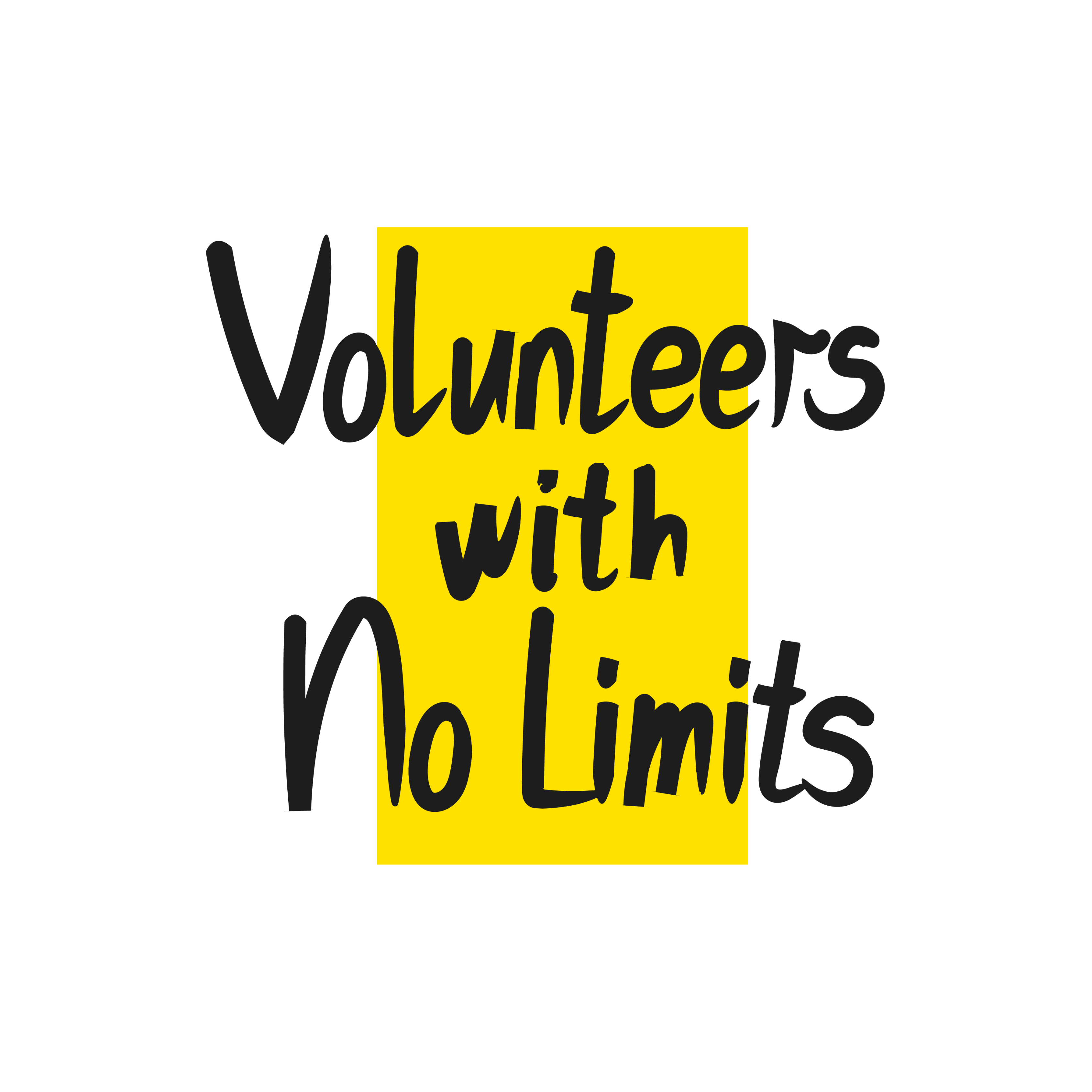 Volunteers with No Limits